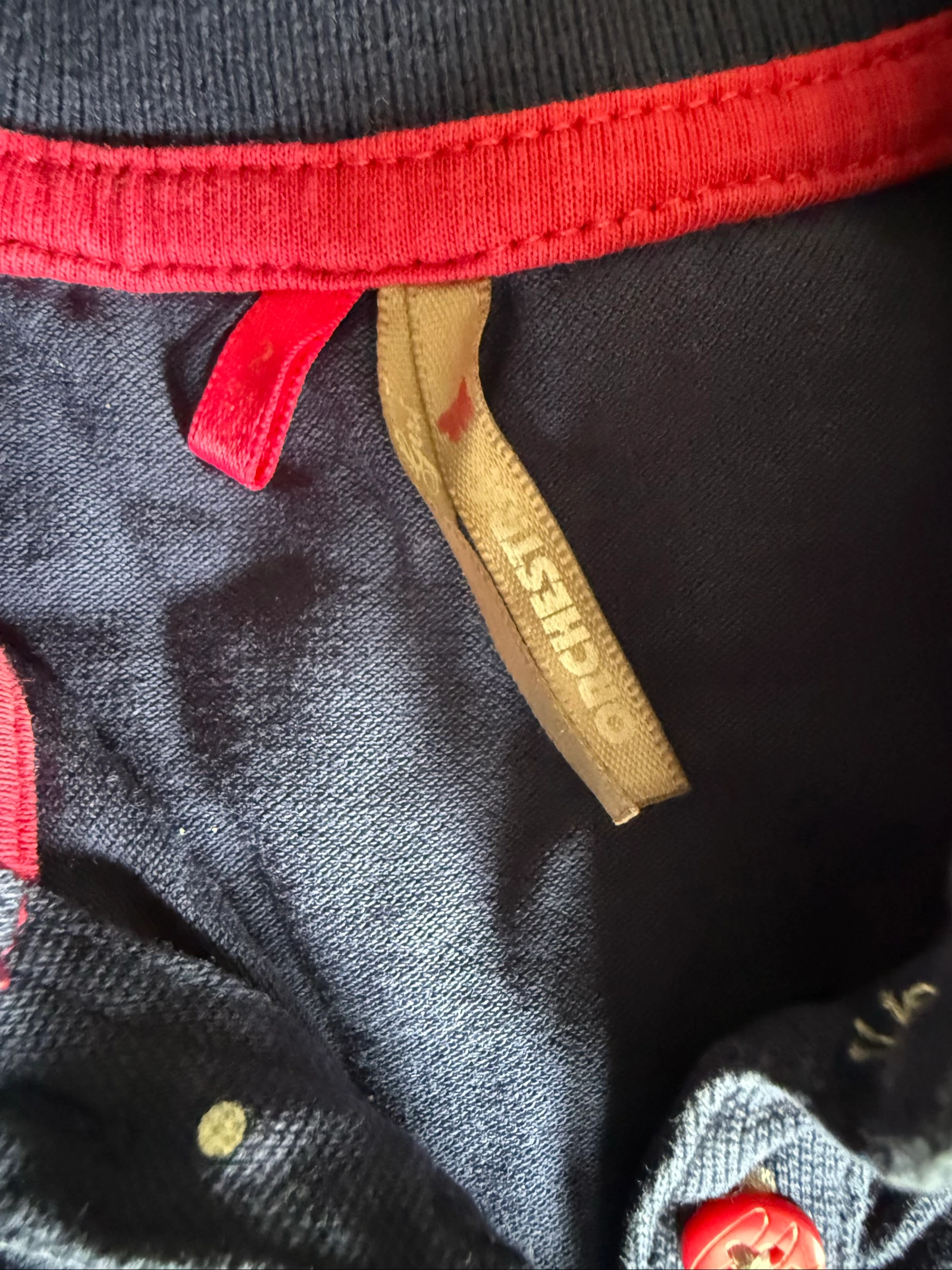 Polo – photo 2